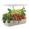 Гидропонная установка ENDEVER Garden-2