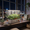 Гидропонная установка ENDEVER Garden-2