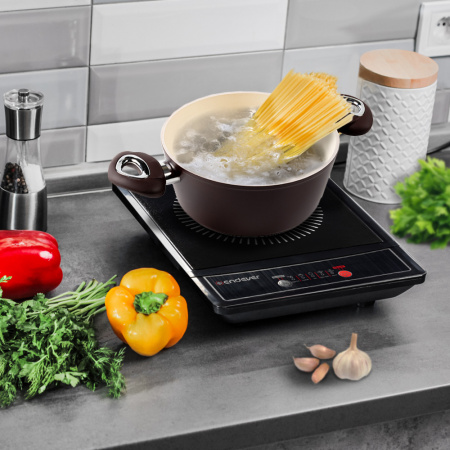 Индукционная плитка ENDEVER Skyline IP-16