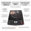 Индукционная плита ENDEVER Skyline IP-21